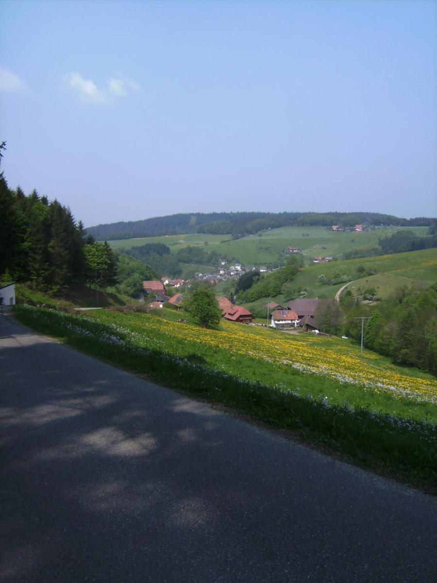 Gasthof Krone Schuttertal Zewnętrze zdjęcie